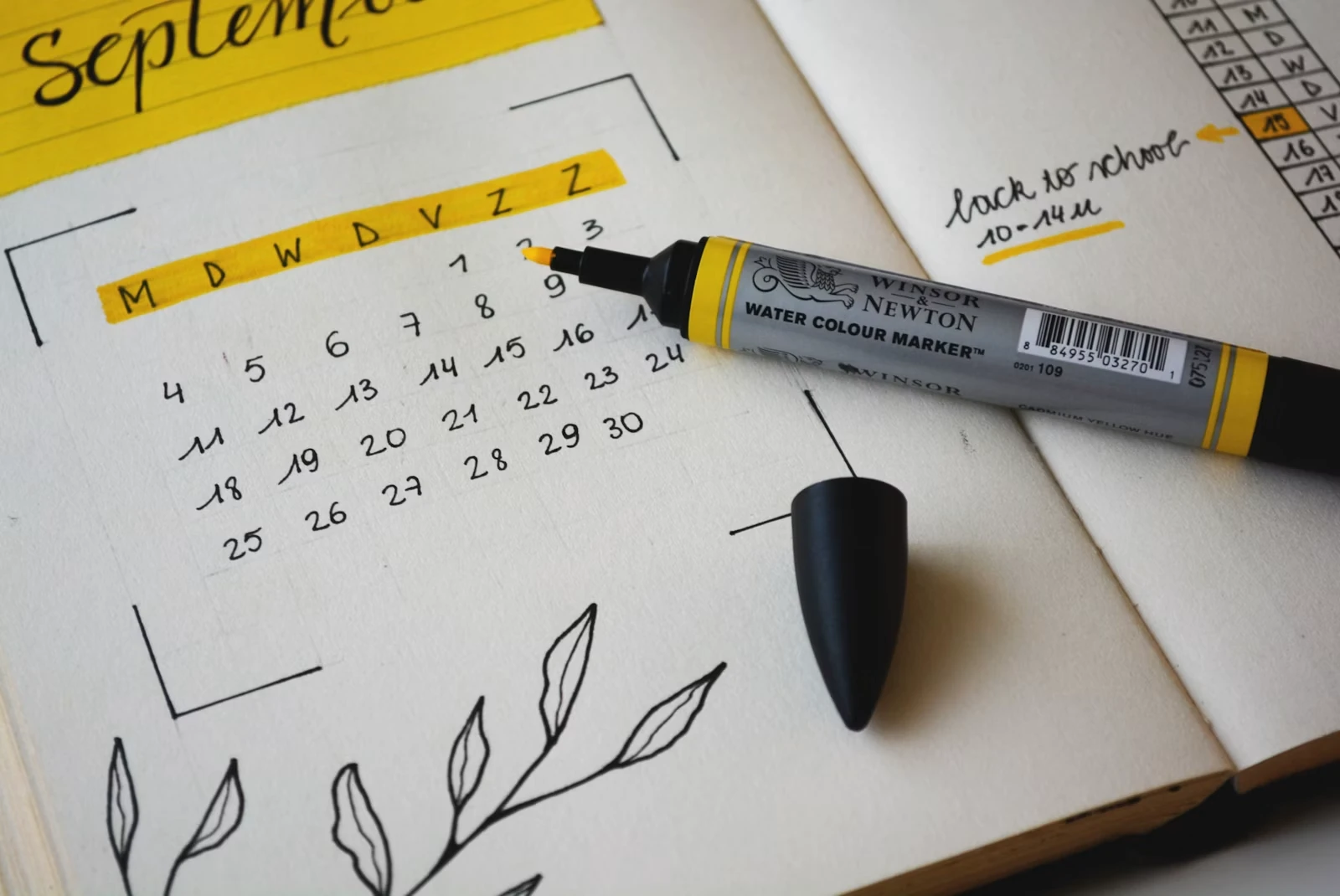 Weekly meal and routine preparation